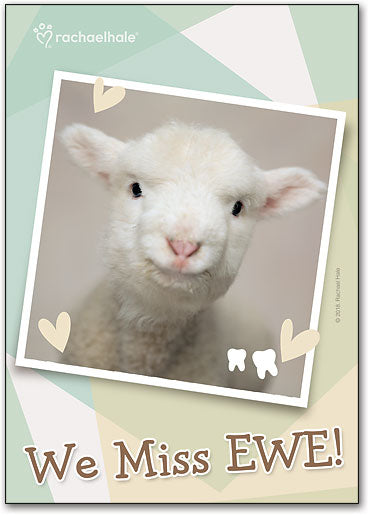 We Miss Ewe Postcard
