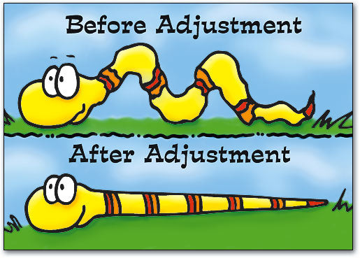 Before & After Snake Postcard