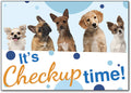 Playful Pups Postcard