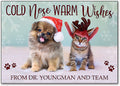 Cold Nose Warm Heart Postcard