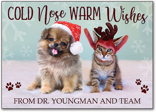 Cold Nose Warm Heart Postcard