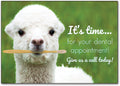Little Llama customisable Postcard