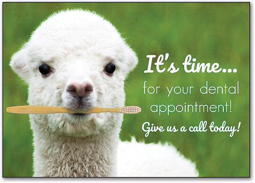 Little Llama customisable Postcard