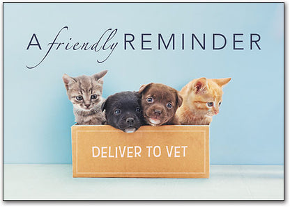 Special Delivery customisable Postcard