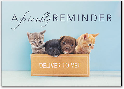 Special Delivery customisable Postcard