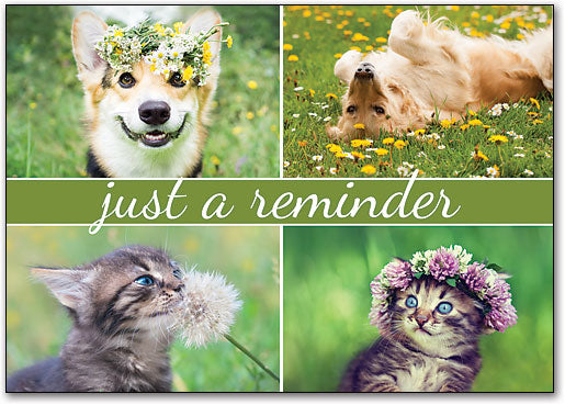 Spring Love customisable Postcard