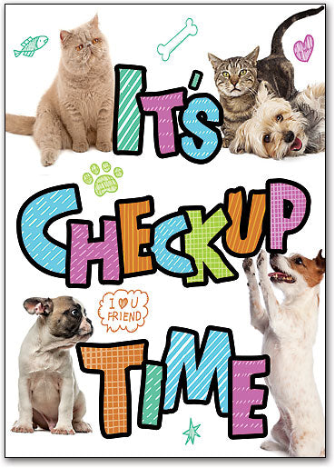 Lovable Pets Postcard