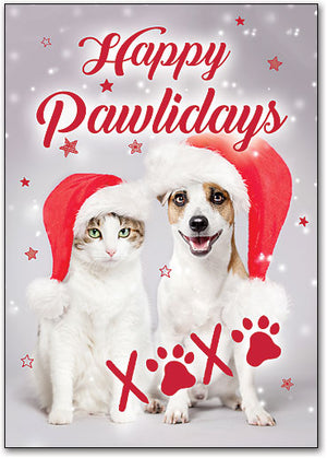 Pawliday Greetings Postcard