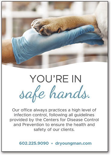 Safe Paws Postcard