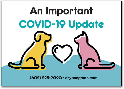 Vet Important Message Postcard