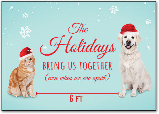 Holiday Distance Pets Postcard