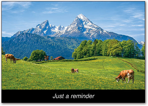 Mountain and Cattle Postcard