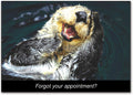 Otter Postcard