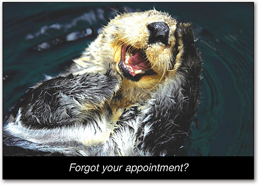 Otter Postcard