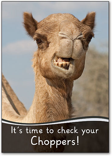 Camel Choppers Postcard