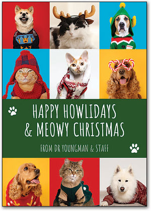 Festive Pets Postcard