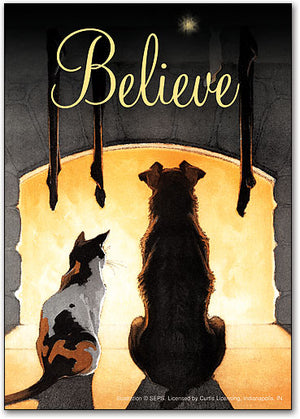 Pets Believe Postcard