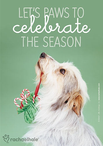 Celebrate the Season Postcard