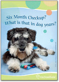 Doggy Brush Deluxe Postcard
