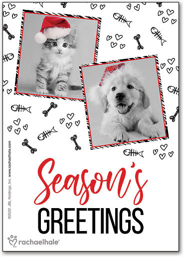 Holiday Portraits Deluxe Postcard