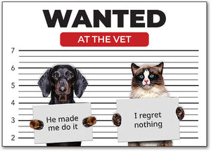 Wanted Pets Postcard