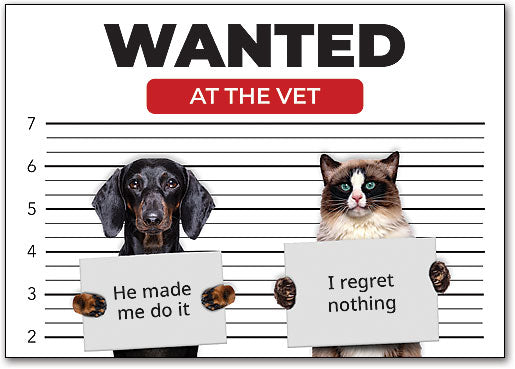 Wanted Pets Postcard