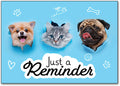 Happy Pals Postcard