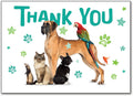 Pets A Plenty Thank You Postcard
