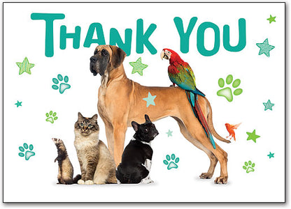 Pets A Plenty Thank You Postcard