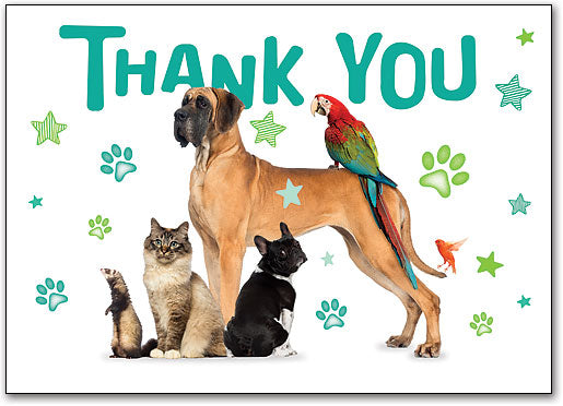 Pets A Plenty Thank You Postcard