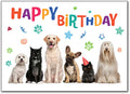Pets A Plenty Birthday Postcard