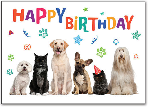 Pets A Plenty Birthday Postcard