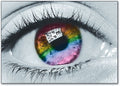 Rainbow Iris Postcard