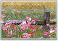 Time to Freshen Up Postcard
