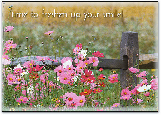 Time to Freshen Up Postcard