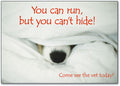 You Can Run Postcard