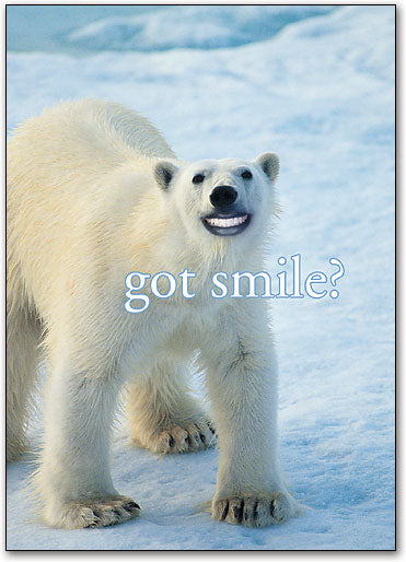 Got Smile? Postcard