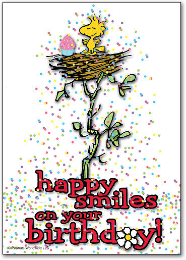 Woodstock with Cupcake Postcard