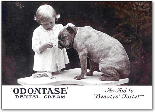 Bulldog Toothpaste Postcard