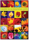 Precious Gift Postcard