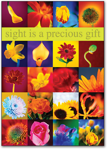 Precious Gift Postcard