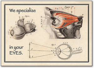 Eye Anatomy Postcard