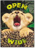 Open Wide Postcard