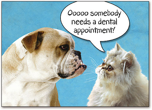 Needs an Appointment Postcard