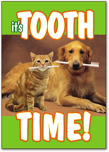 It's Tooth Time Postcard