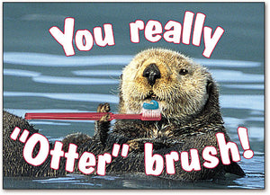 You Really Otter Brush Postcard