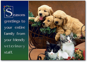 Puppies/Kittens Holiday Postcard