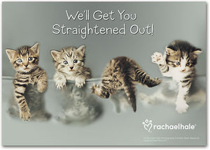 3 Cats Up 1 Down Deluxe Postcard