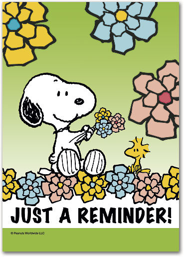 Spring Flowers Reminder Postcard