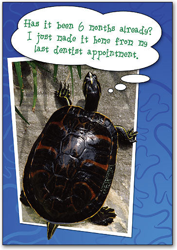 Slow Going Standard Postcard